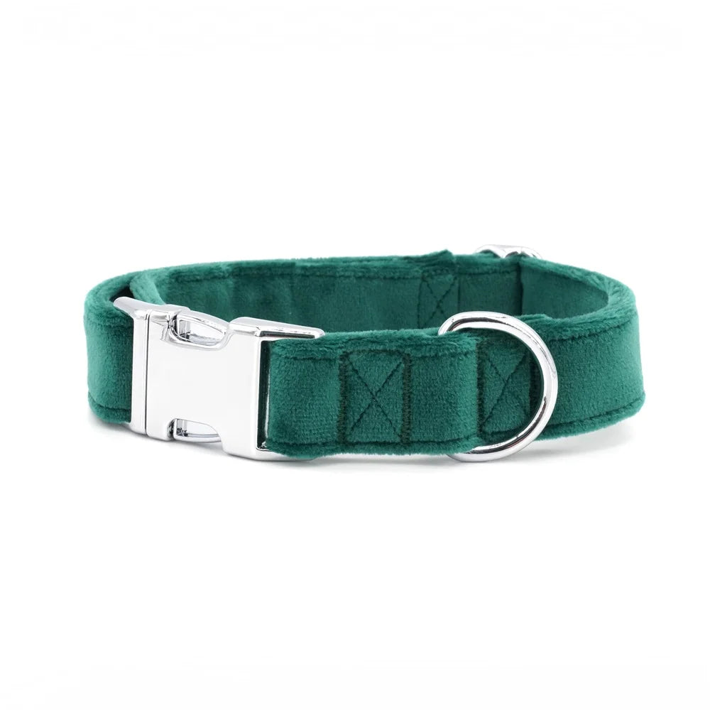Green Floral Flourish: Personalized Collars and Leashes