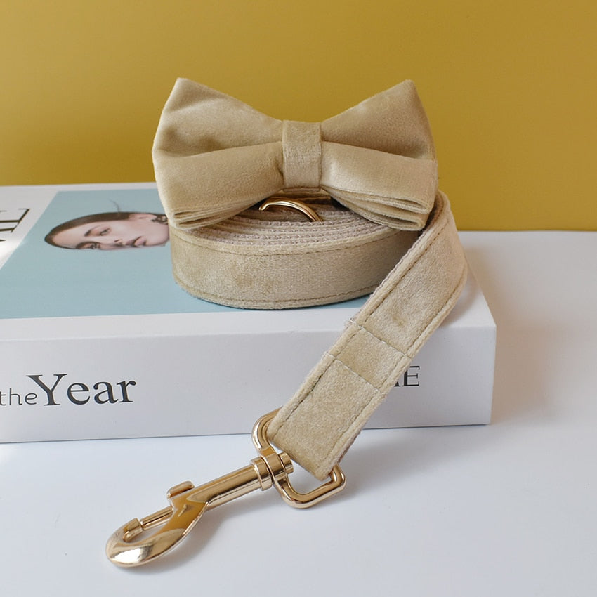 Khaki Velvet Shades: Personalized Bow Collar and Leash Set - CurliTail