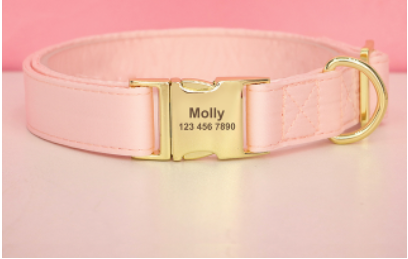 Peach Orange Butterfly Collar With Flower- Personalized - CurliTail