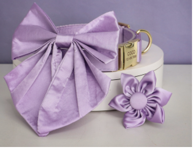 Purple Paradise Butterfly Collar With Flower - Personalized - CurliTail
