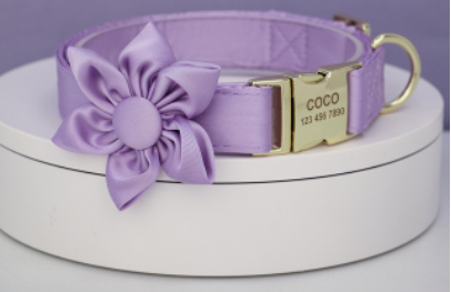 Purple Paradise Butterfly Collar With Flower - Personalized - CurliTail