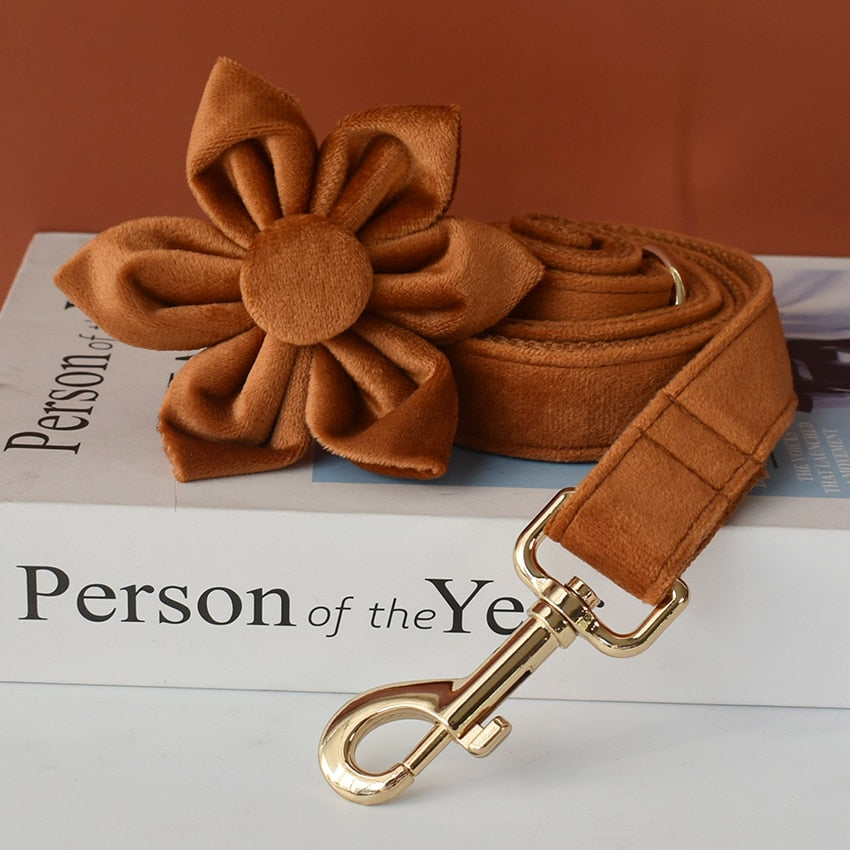 Blissfull Brown Shades: Personalized Flower Collar and Leash Set - CurliTail