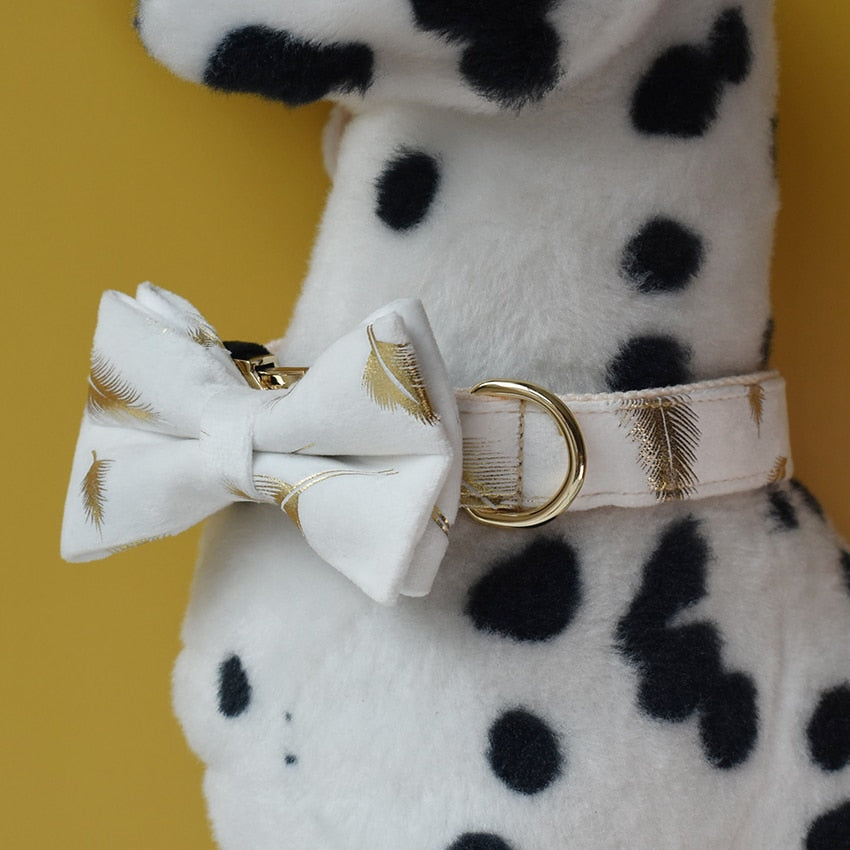 Sparkling White:  Personalized Pet Bow Collar And Leash - CurliTail