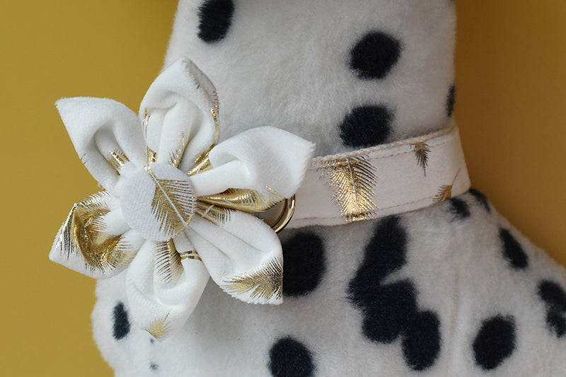 Sparkling White:  Personalized Pet Flower Collar And Leash - CurliTail