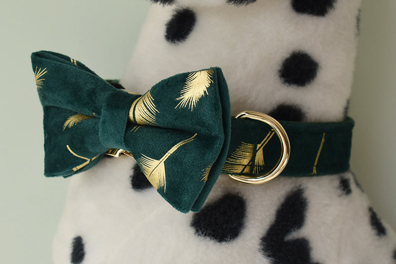 Sparkle With Green: Personalized Pet Bow Collar And Leash - CurliTail