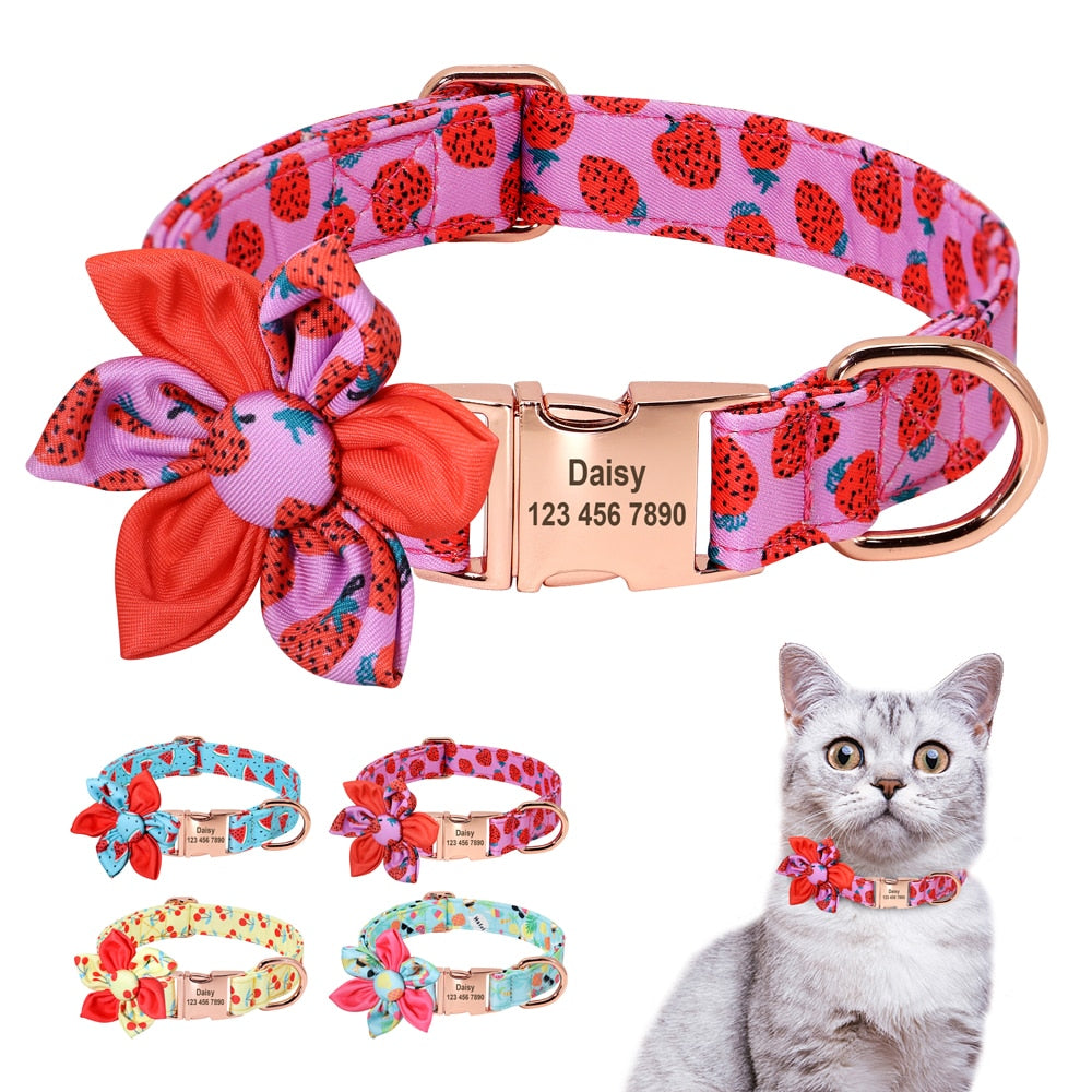 Theme based Fruit Collars for Dogs | Personalized ID Collars - CurliTail