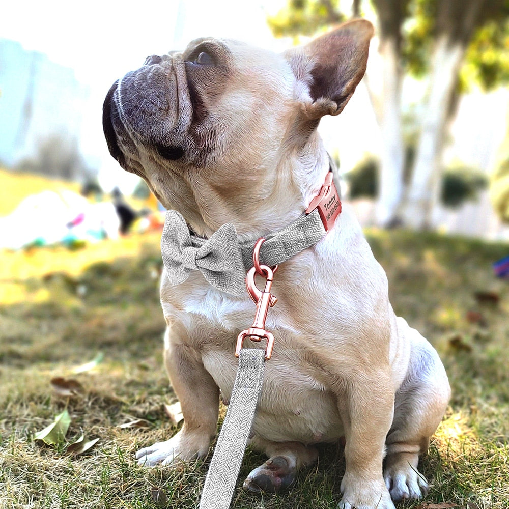 Classy Bow And Leash Set: Personalized Collar And Leash - CurliTail