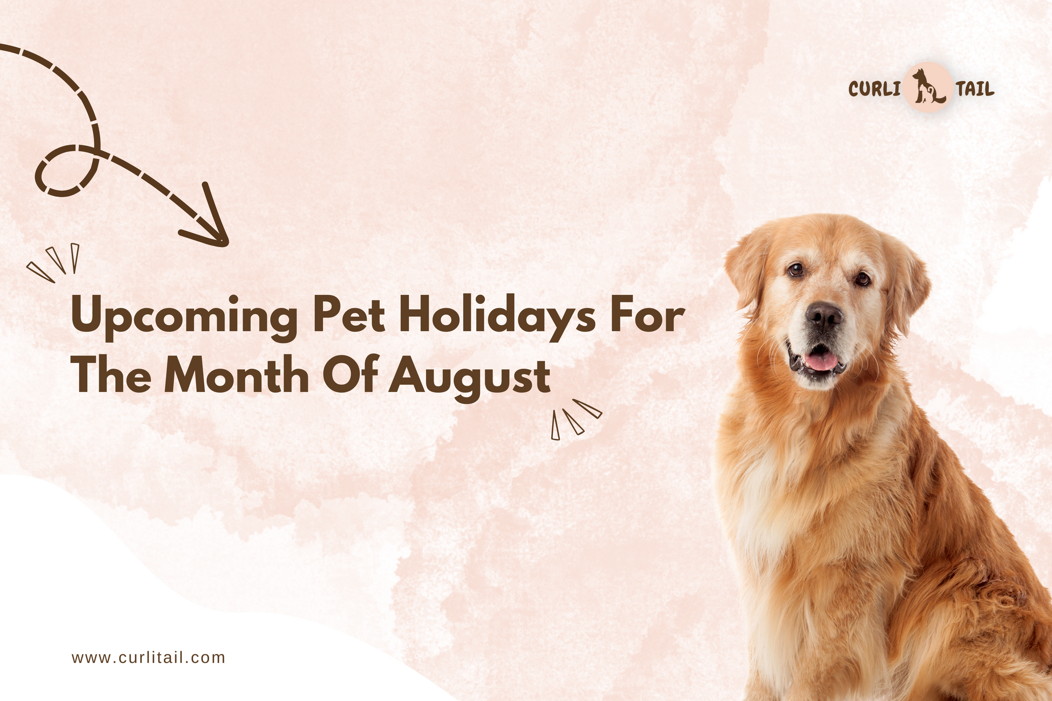 August pet holidays 