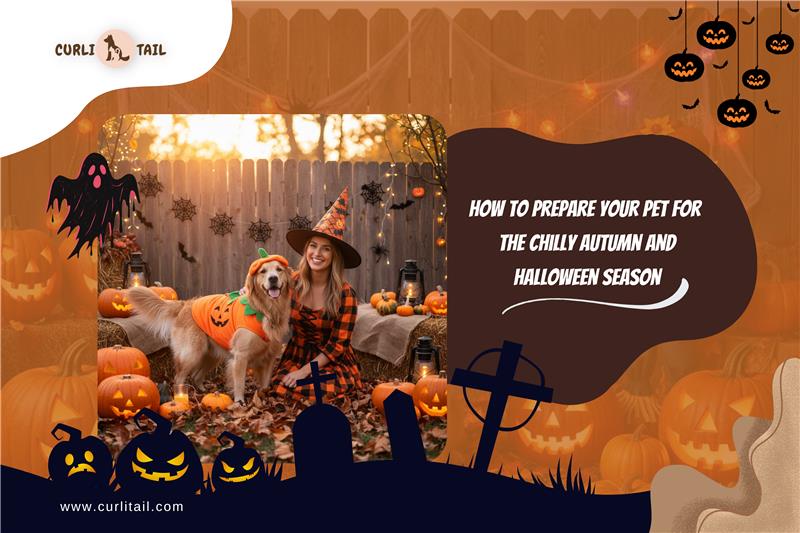 Autumn and Halloween
