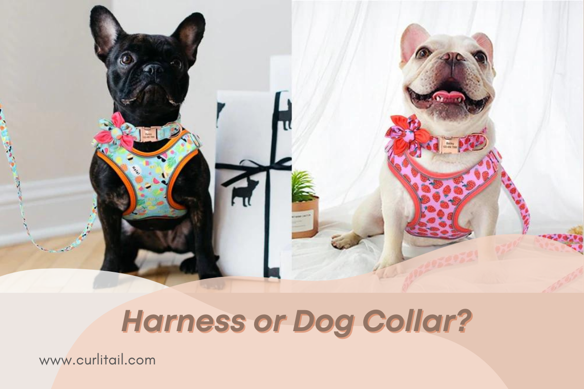 Dog-Harness-Dog-Collar-CurliTail