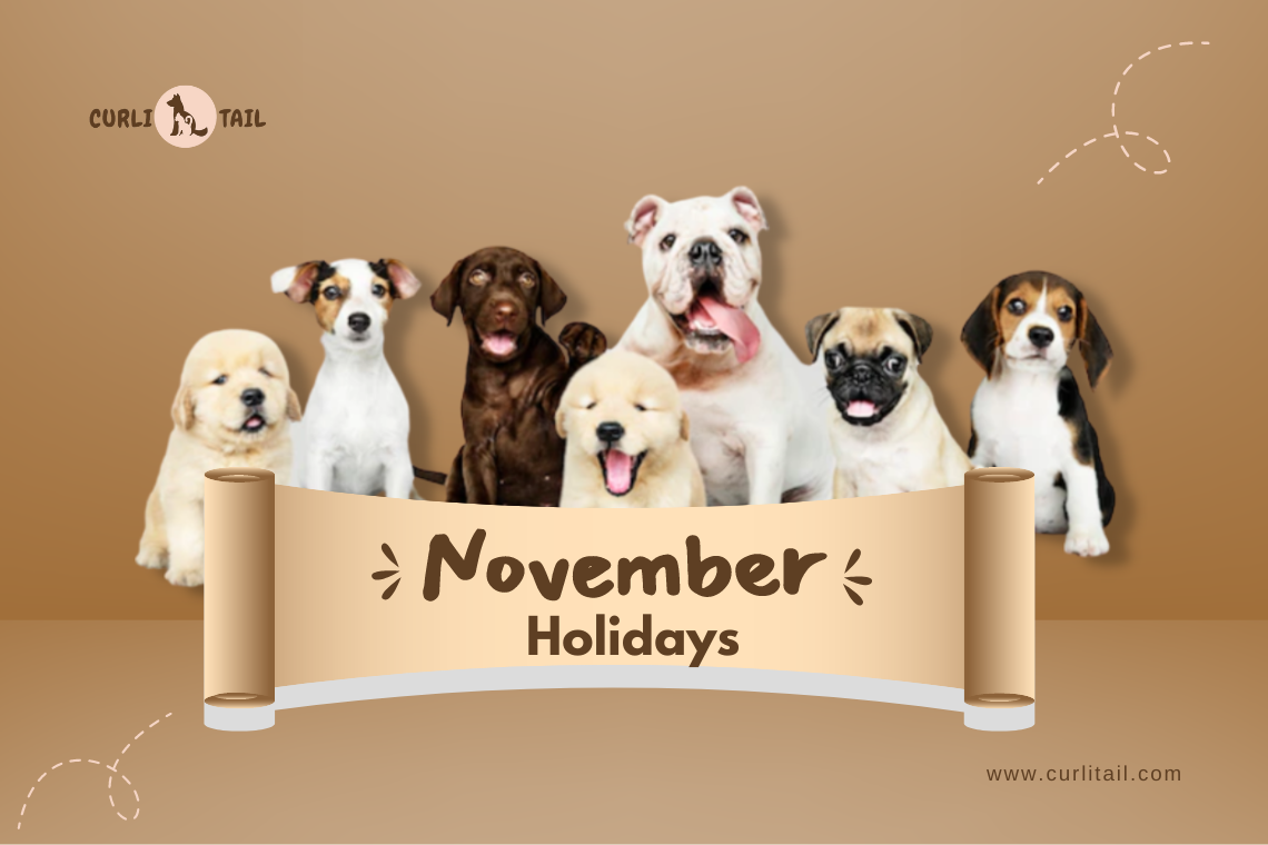 November Pets Upcoming Pet Holidays For The Month Of November โ CurliTail