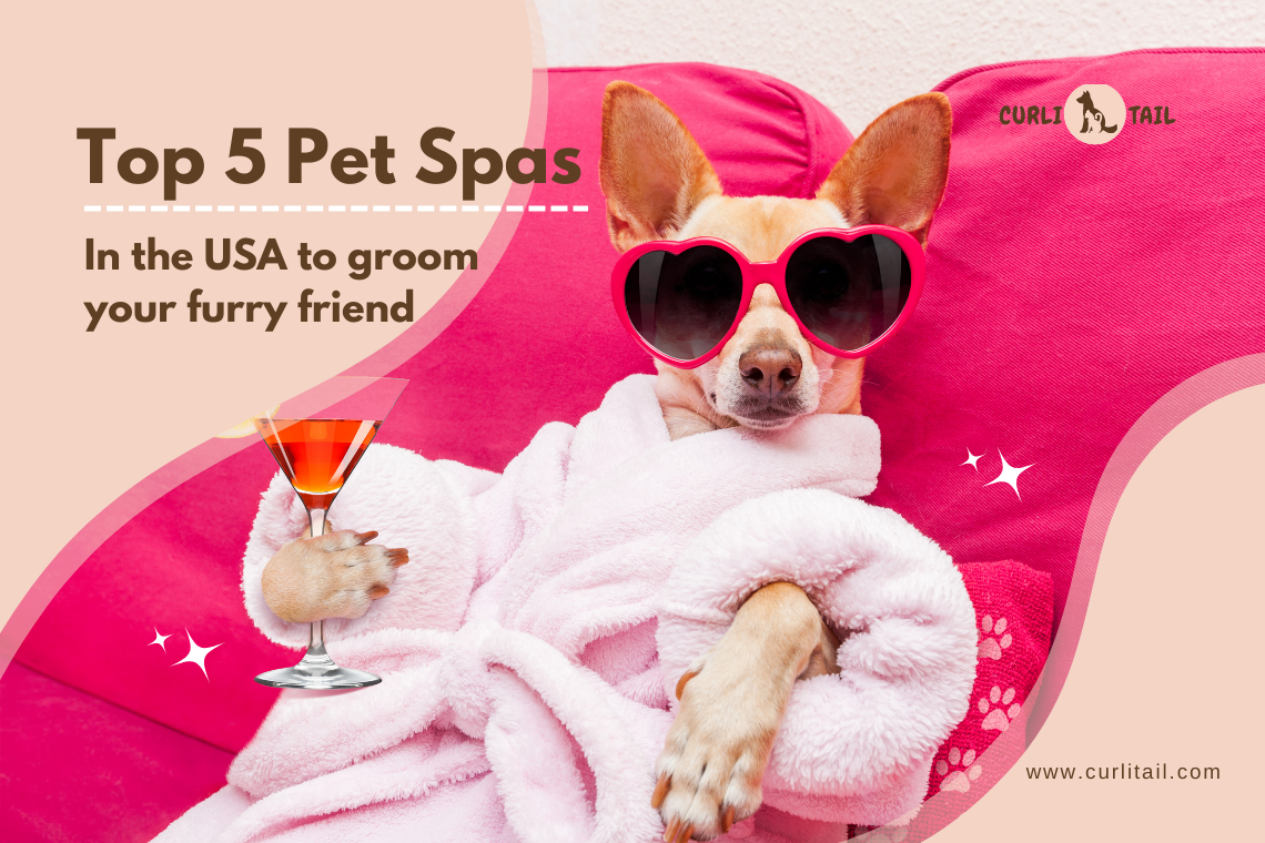 Best pet 2024 spa near me