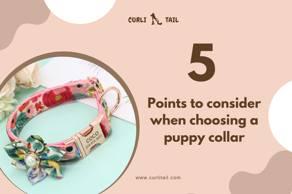 Here are the points that you may consider while choosing a puppy collar for your pup.