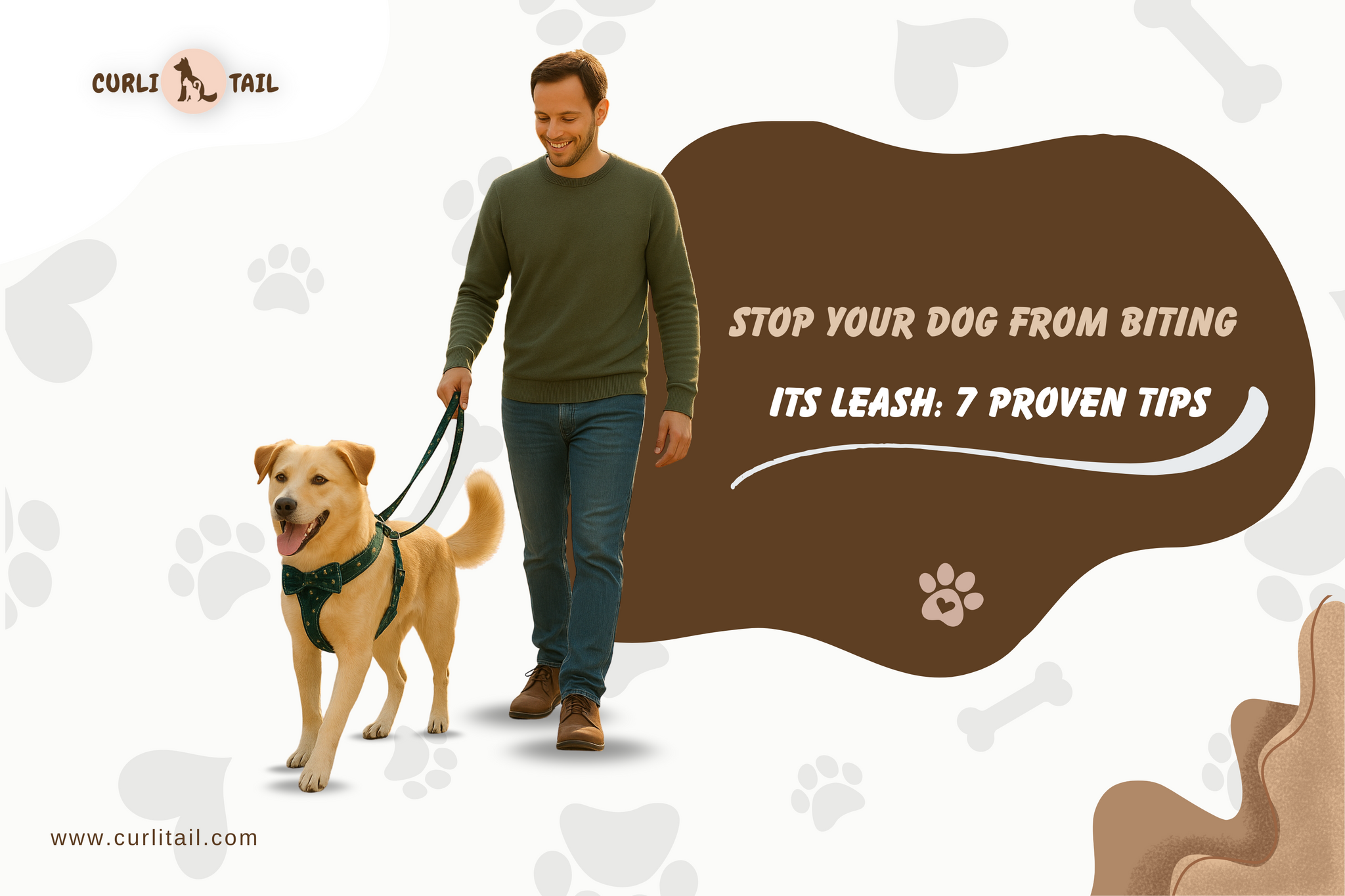 Stop leash biting