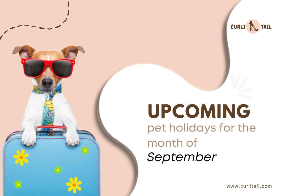 Here is compiled list of pretty much all September pet holidays