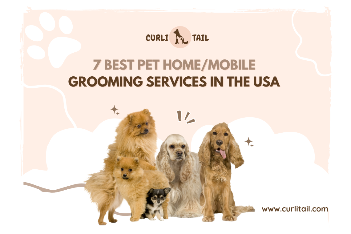 Grooming services can also be availed by staying at home from a professional groomer. 
