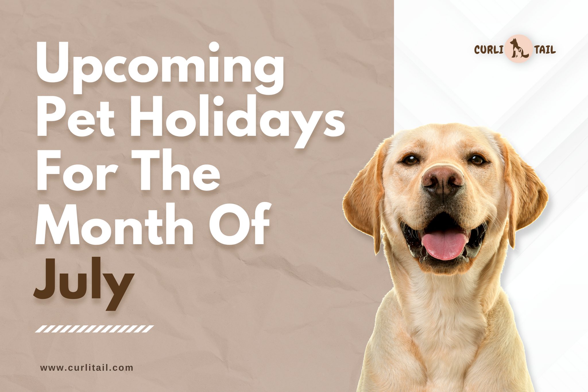 Upcoming Pet Holidays For The Month Of July