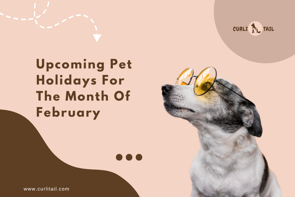 Upcoming Pet Holidays For The Month Of February – CurliTail