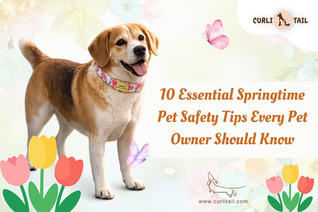 10 Essential Springtime Pet Safety Tips Every Pet Owner – CurliTail