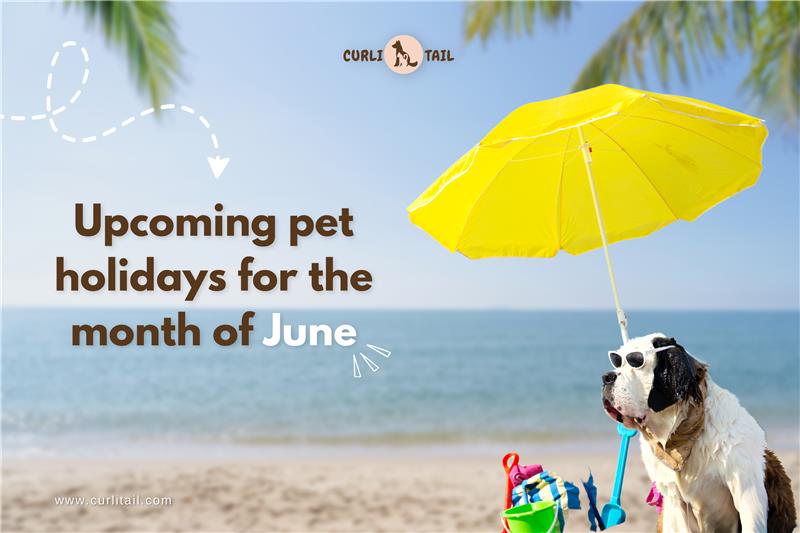 Upcoming pet holidays for June  |Curlitail