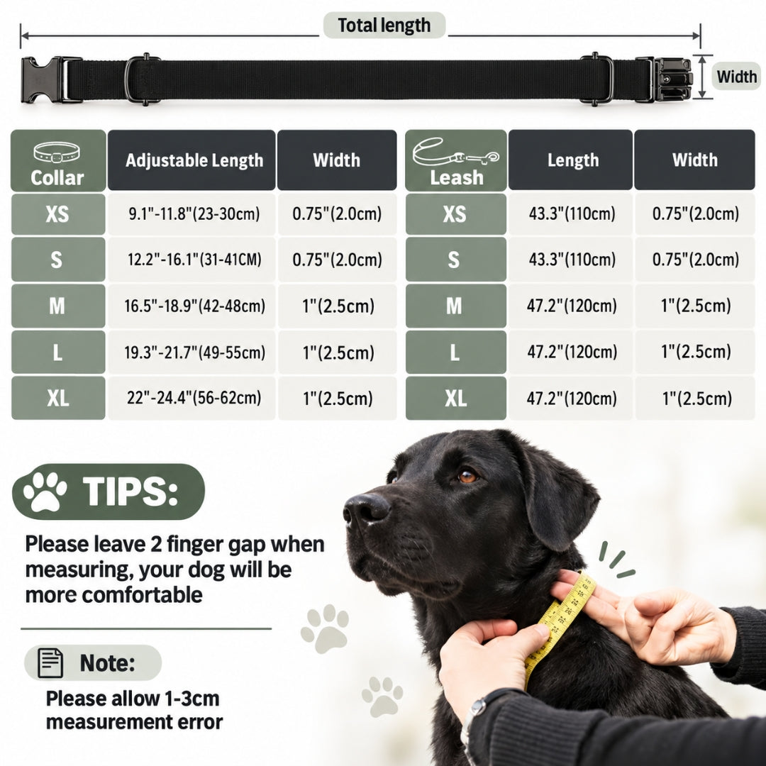 Personalized Dog Collar with Free Engraving, Blue Lilac Pet Collar