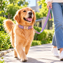 Personalized Dog ID & Leash Set | Elegant Pink Green Plaid Dog Collar