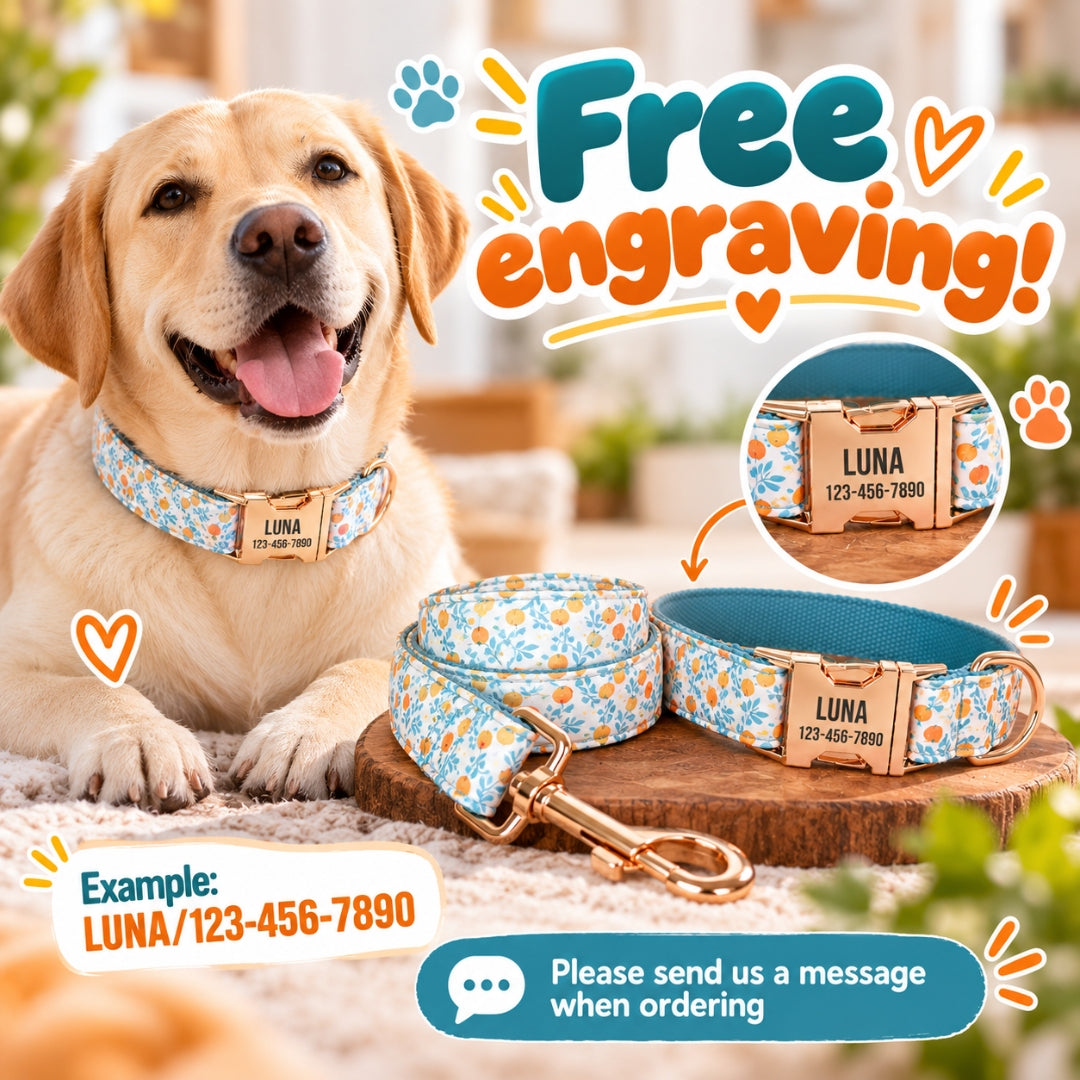 Personalized Dog Collar with Free Engraving, Blue Lilac Pet Collar