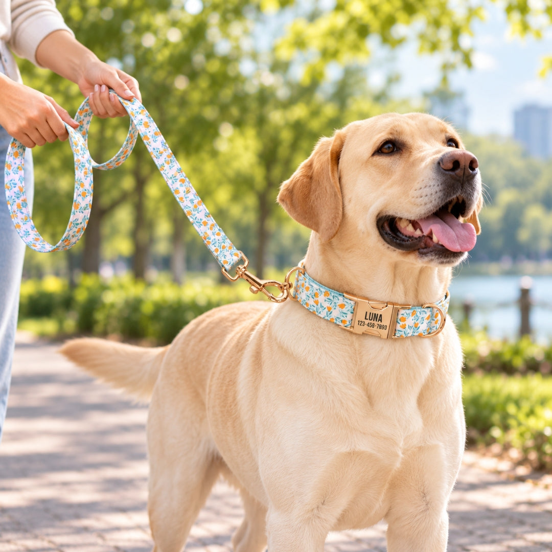Personalized Dog Collar with Free Engraving, Blue Lilac Pet Collar