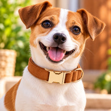 Blissfull Brown Shades: Personalized Flower Collar and Leash Set - CurliTail