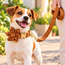 Blissfull Brown Shades: Personalized Flower Collar and Leash Set - CurliTail