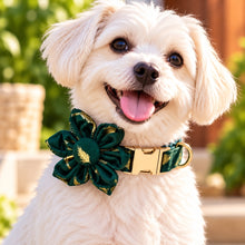 Sparkle With Green: Personalized Pet Flower Collar And Leash - CurliTail