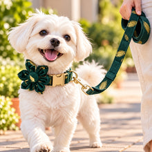 Sparkle With Green: Personalized Pet Flower Collar And Leash - CurliTail