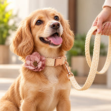 Lace Collar With Pink Flower: Free Engrave Dog Collar Leash Set