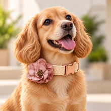 Lace Collar With Pink Flower: Free Engrave Dog Collar Leash Set