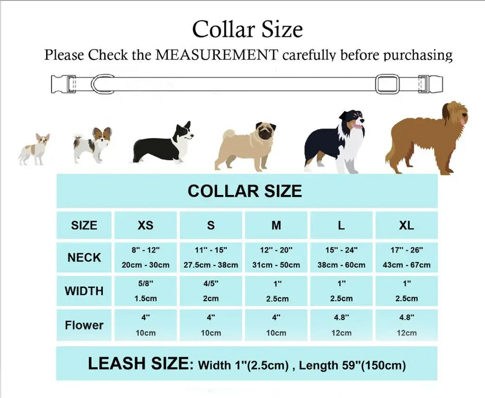 Personalized Halloween Adjustable Dog Collar Leash Set with ID Tag Engraving