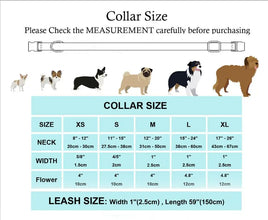 Personalized Halloween Dog Collar with Free Engraving ID Name Tag Matching Leash And Harness