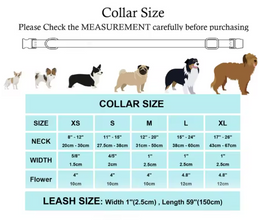 Floral Butterfly Collar Leash Set | Personalized Dog ID Collars - CurliTail