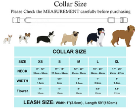 Solid Sea Green Personalized Bow Collar and Leash Set - CurliTail