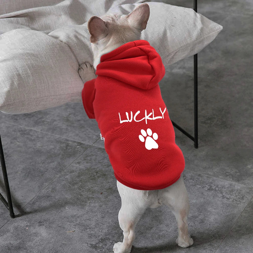 Custom Dog Hoodie | Personalized Pet French Bulldog Name Hoodies | Large Dog Clothes Personalized