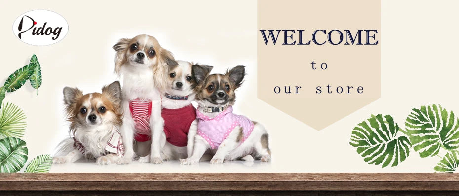Personalized Floral Pet Collars – Premium Collection by CurliTail