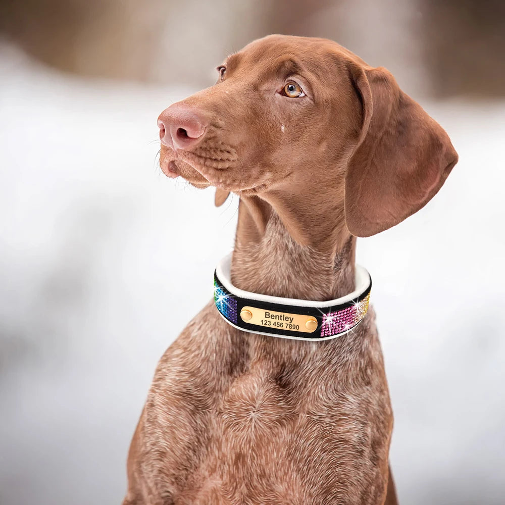 Custom Winter Personalized Rhinestone Dog Collar | Soft Padded Puppy Collar for Small Dogs Cats