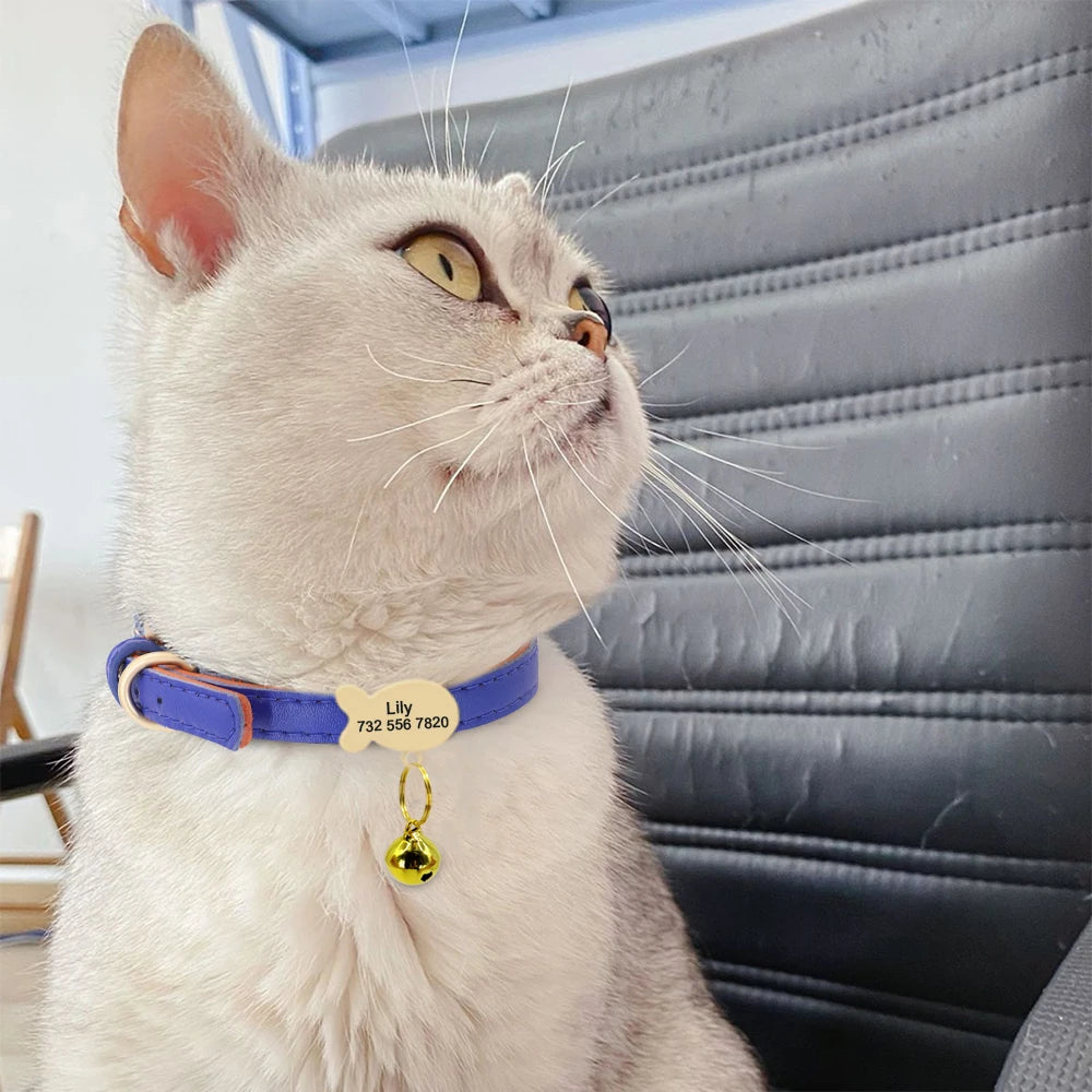 Cute Cat Personalized ID Collar | Engraved  Kitten Puppy Collars Necklace For Small Medium Cats  and Dogs With Bell Fish Tag Nameplate