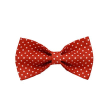 47560530886935|47560530919703|47560530952471|47560530985239|47560531050775