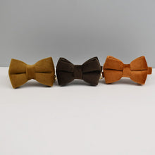 Velvetty Trends: Personalized Collars and Bowties