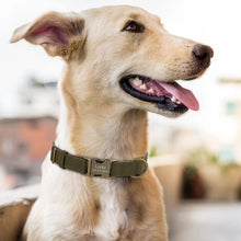 Personalized PU Leather Dog Collar – Custom Engraved Name ID, Adjustable Fit for All Dog Sizes