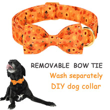 Personalized Pumpkin Halloween Dog Collar with Bowtie flower | Custom Collar with Name