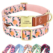 Personalized Floral Pet Collars – Premium Collection by CurliTail
