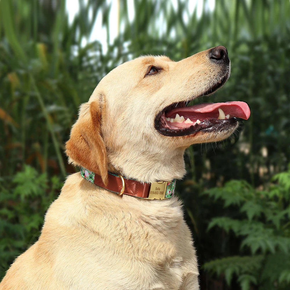 Personalized Floral Pet Collars – Premium Collection by CurliTail