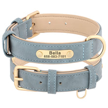 Personalized Leather Dog Collars – Strong, Stylish & Safe | CurliTail