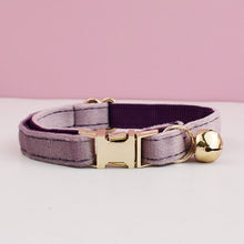 Velvet Charms: Personalized Collars and Bowties